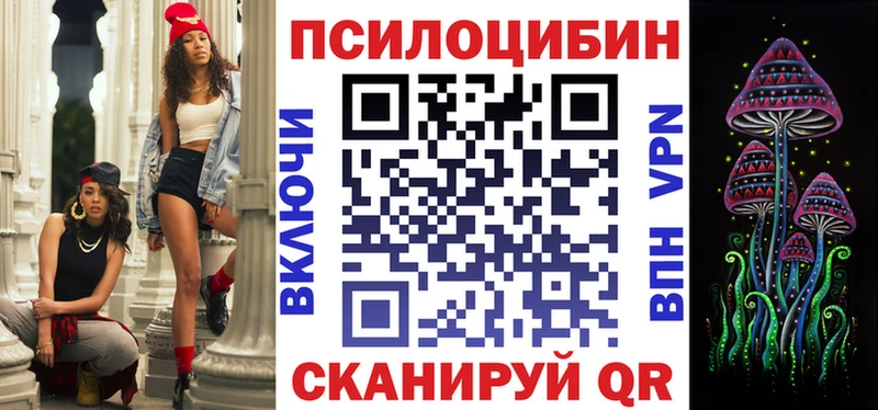 Псилоцибиновые грибы Psilocybine cubensis  Шимановск 